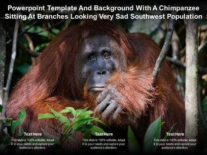 Template with a chimpanzee sitting at branches looking very sad southwest population