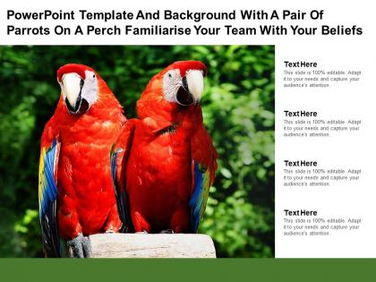 Template with a pair of parrots on a perch familiarise your team with your beliefs