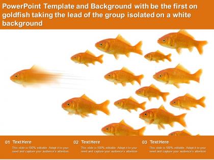 Template with be the first on goldfish taking the lead of the group isolated on a white