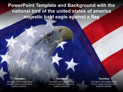 Template with national bird of united states of america majestic bald eagle against a flag