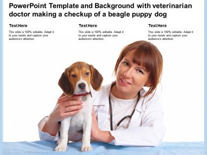Template with veterinarian doctor making a checkup of a beagle puppy dog