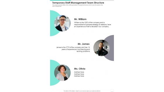 Temporary Staff Management Team Structure One Pager Sample Example Document