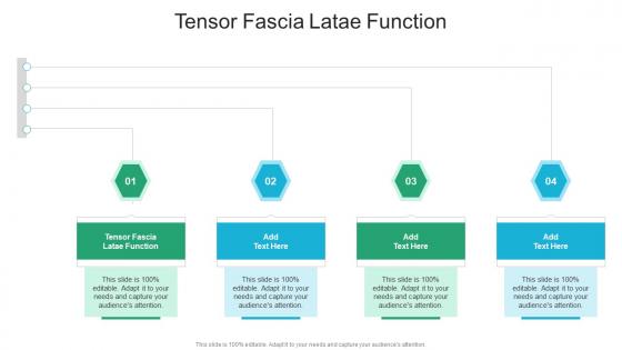 Tensor Fascia Latae Function In Powerpoint And Google Slides Cpb