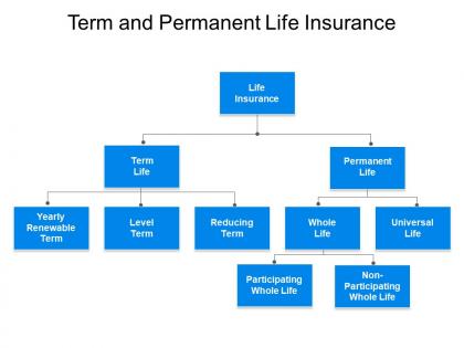 Term and permanent life insurance