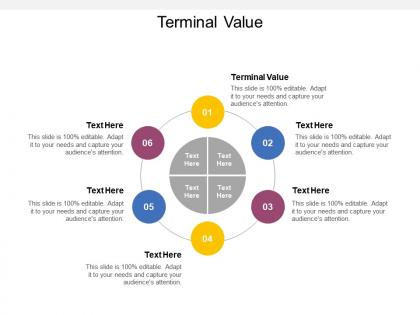 Terminal value ppt powerpoint presentation infographic template designs cpb