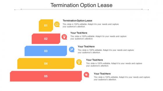 Termination Option Lease Ppt Powerpoint Presentation Show Infographic Template Cpb