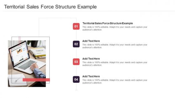 Territorial Sales Force Structure Example In Powerpoint And Google Slides Cpb