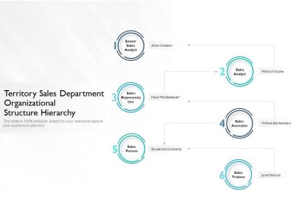 Territory sales department organizational structure hierarchy