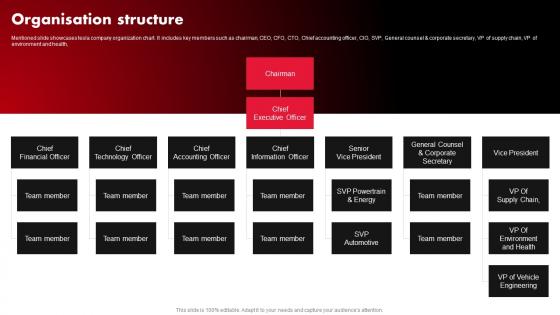 Tesla Company Profile Organisation Structure Ppt Background CP SS