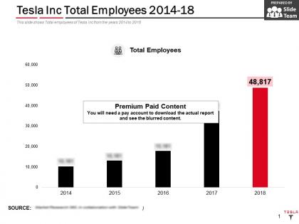 Tesla inc total employees 2014-18