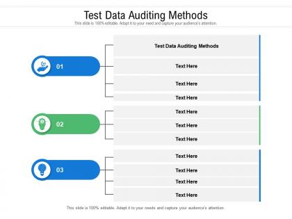 Test data auditing methods ppt powerpoint presentation file demonstration cpb