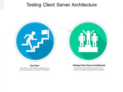 Testing client server architecture ppt powerpoint presentation infographic template cpb
