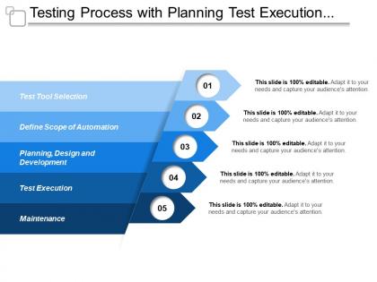 Testing process with planning test execution maintenance