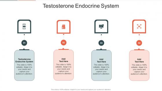 Testosterone Endocrine System In Powerpoint And Google Slides Cpb