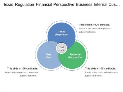 Texas regulation financial perspective business internal customer perspective