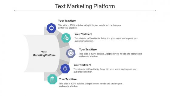 Text marketing platform ppt powerpoint presentation example cpb