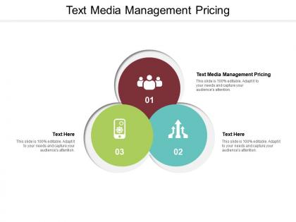 Text media management pricing ppt powerpoint presentation portfolio themes cpb