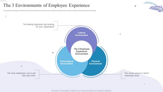 The 3 Environments Of Employee Experience How To Build A High Performing Workplace Culture