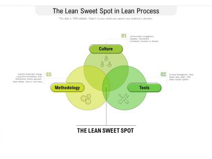 The lean sweet spot in lean process