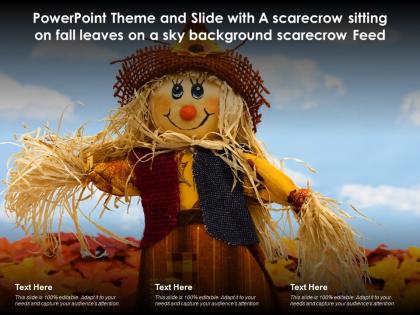 Theme and slide with a scarecrow sitting on fall leaves on a sky scarecrow feed