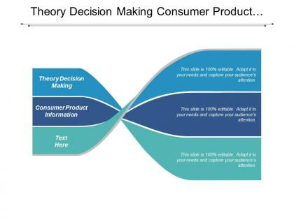 Theory decision making consumer product information labor time management cpb