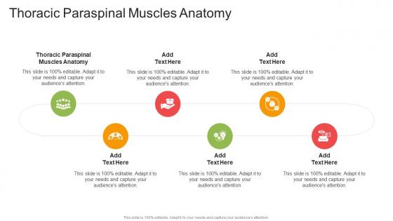 Thoracic Paraspinal Muscles Anatomy In Powerpoint And Google Slides Cpb