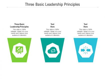 Three basic leadership principles ppt powerpoint presentation layouts demonstration cpb