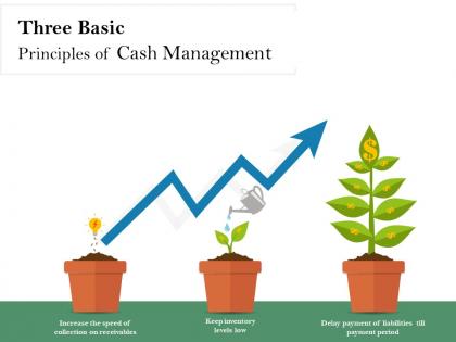 Three basic principles of cash management