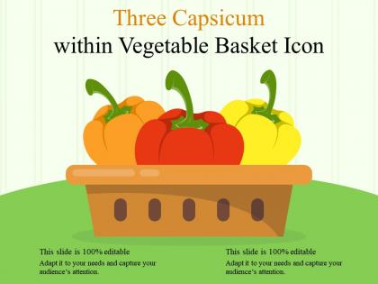 Three capsicum within vegetable basket icon