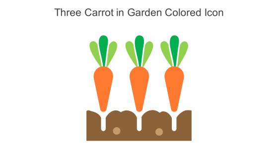 Three Carrot In Garden Colored Icon In Powerpoint Pptx Png And Editable Eps Format