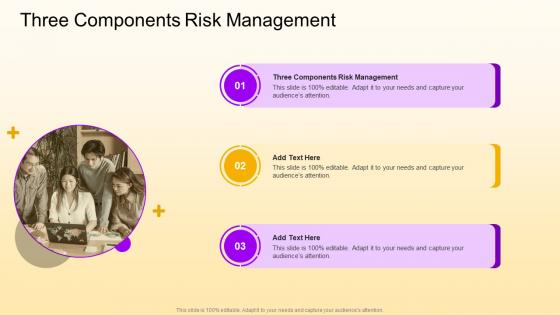 Three Components Risk Management In Powerpoint And Google Slides Cpb