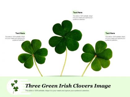 Three green irish clovers image
