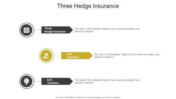 Three Hedge Insurance In Powerpoint And Google Slides Cpb