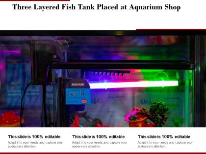 Three layered fish tank placed at aquarium shop