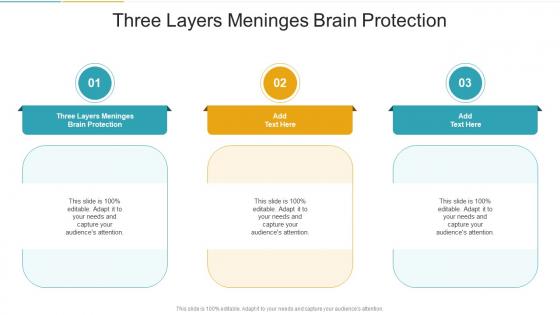 Three Layers Meninges Brain Protection In Powerpoint And Google Slides Cpb