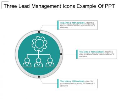 Three lead management icons example of ppt