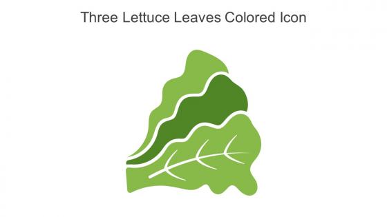 Three Lettuce Leaves Colored Icon In Powerpoint Pptx Png And Editable Eps Format