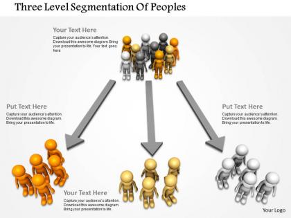 Three Level Segmentation Of Peoples Ppt Graphics Icons