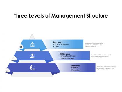 Three levels of management structure