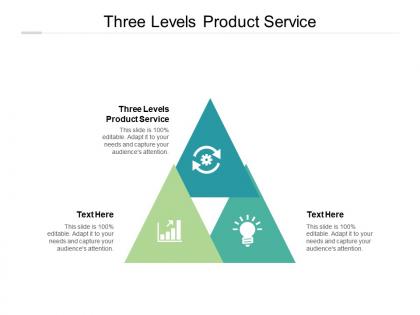 Three levels product service ppt powerpoint presentation infographics professional cpb