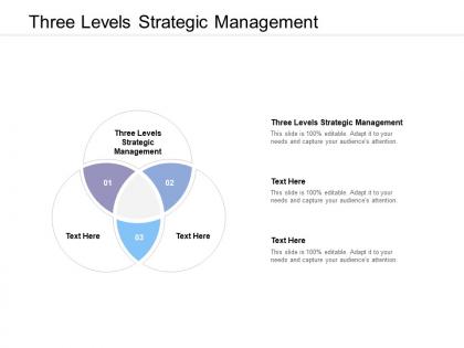 Three levels strategic management ppt powerpoint presentation ideas designs cpb