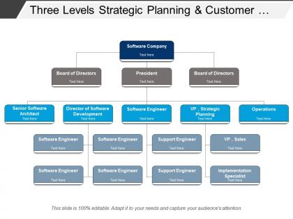 Three levels strategic planning and customer service software org chart