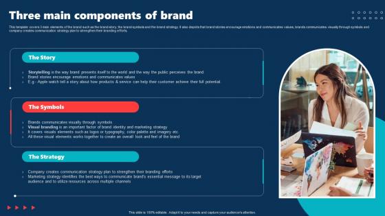 Three Main Components Of Brand Internal Brand Rollout Plan Ppt Summary Display