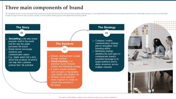Three Main Components Of Brand Launch Plan Ppt Microsoft