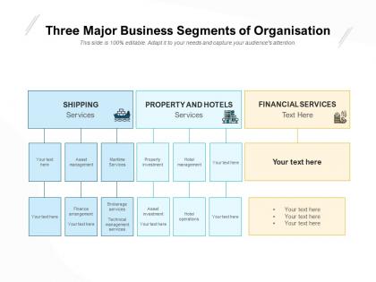 Three major business segments of organisation