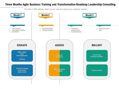 Three months agile business training and transformation roadmap leadership consulting
