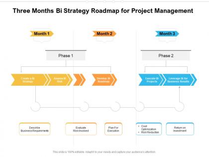 Three months bi strategy roadmap for project management