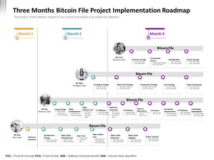 Three months bitcoin file project implementation roadmap