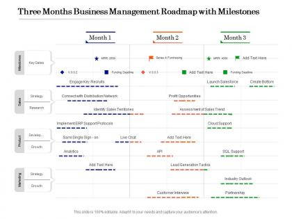 Three months business management roadmap with milestones