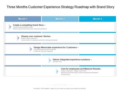 Three months customer experience strategy roadmap with brand story